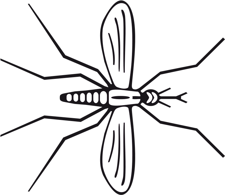 From Southern Medical University - Spider (800x800)