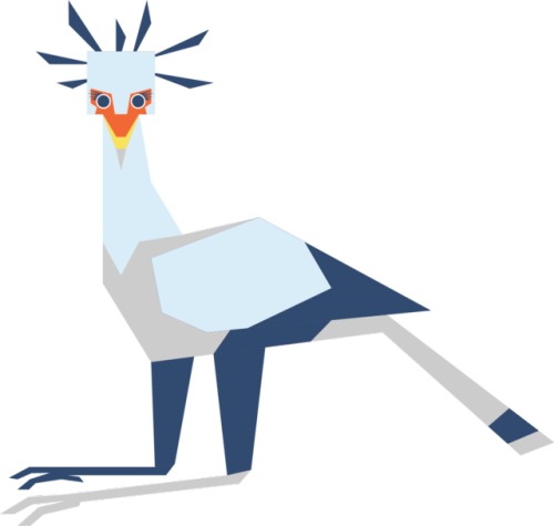Secretary Birds Are Some Of My Favorite Birds - Cartoon (500x475)