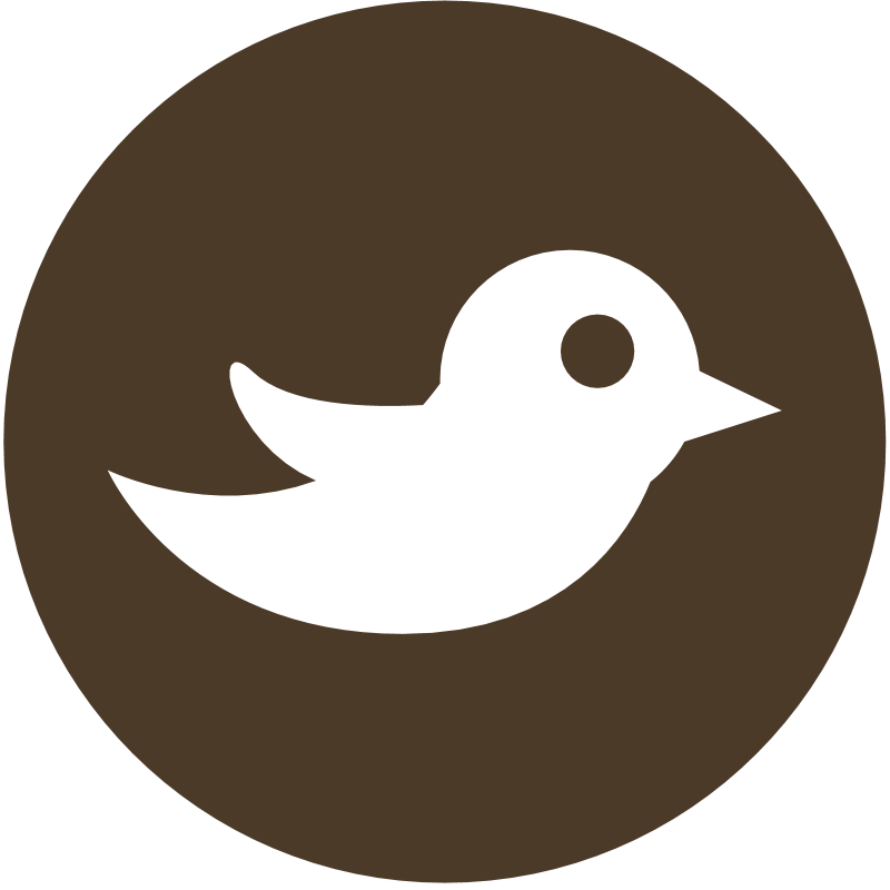 Share On Twitter - Twitter Icon Vector Brown (800x800)