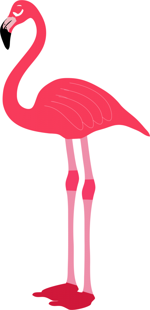 Free Png Download Flamingo Png Images Background Png - Transparent Background Flamingo Png (480x987)