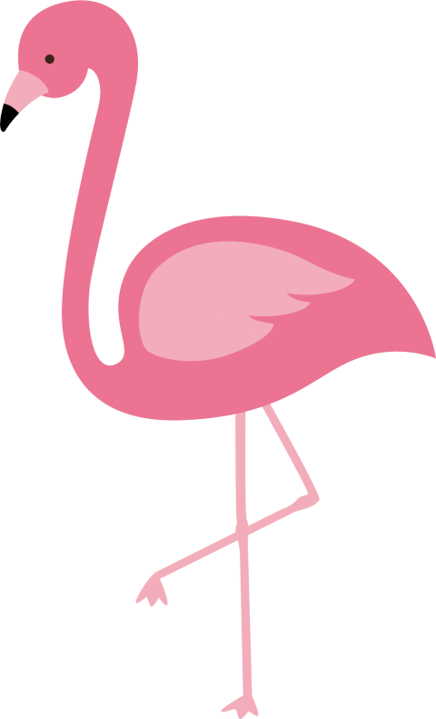 Free Png Download Flamingo Png Images Background Png - Cartoon Flamingo Transparent Background (480x791)