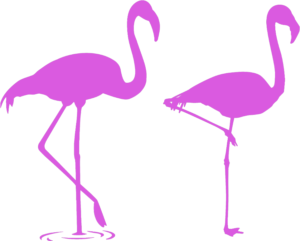 Mq Pink Flamingo Flamingos Silhouette - Flamencos Para La Pared (1024x1024)