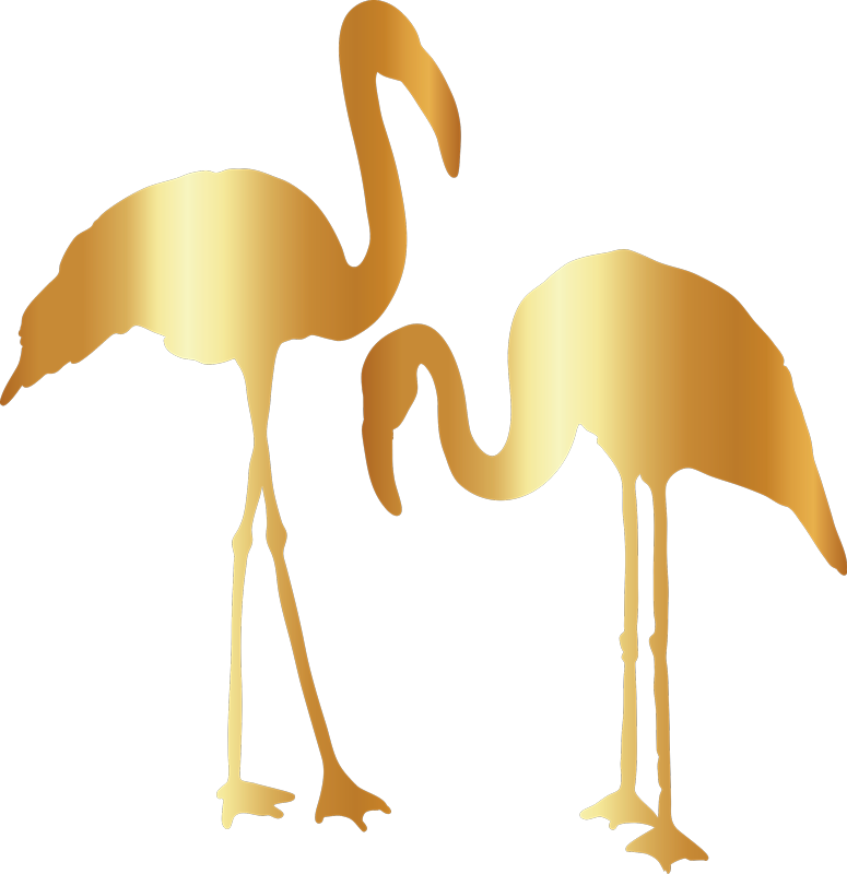 1 - - Flamenco Animal Dibujo Dorado (775x800)