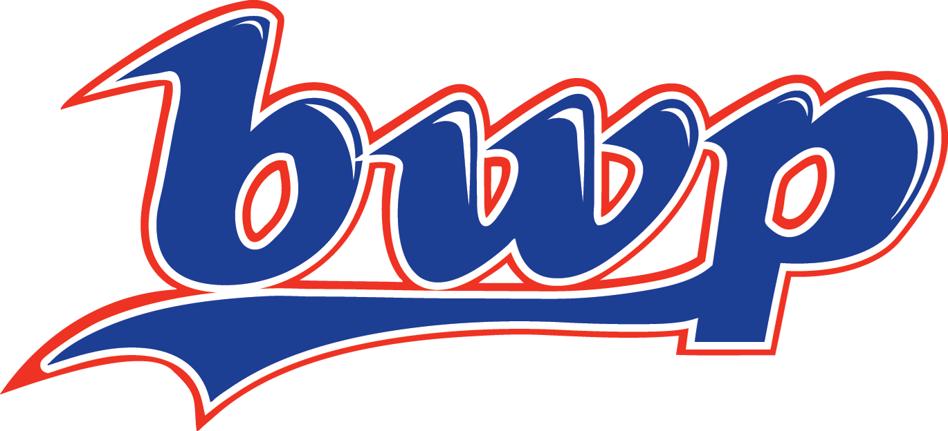 Bwp Customized Adult Maple Wood Baseball Bat - Bwp Bl243 (1370x624)