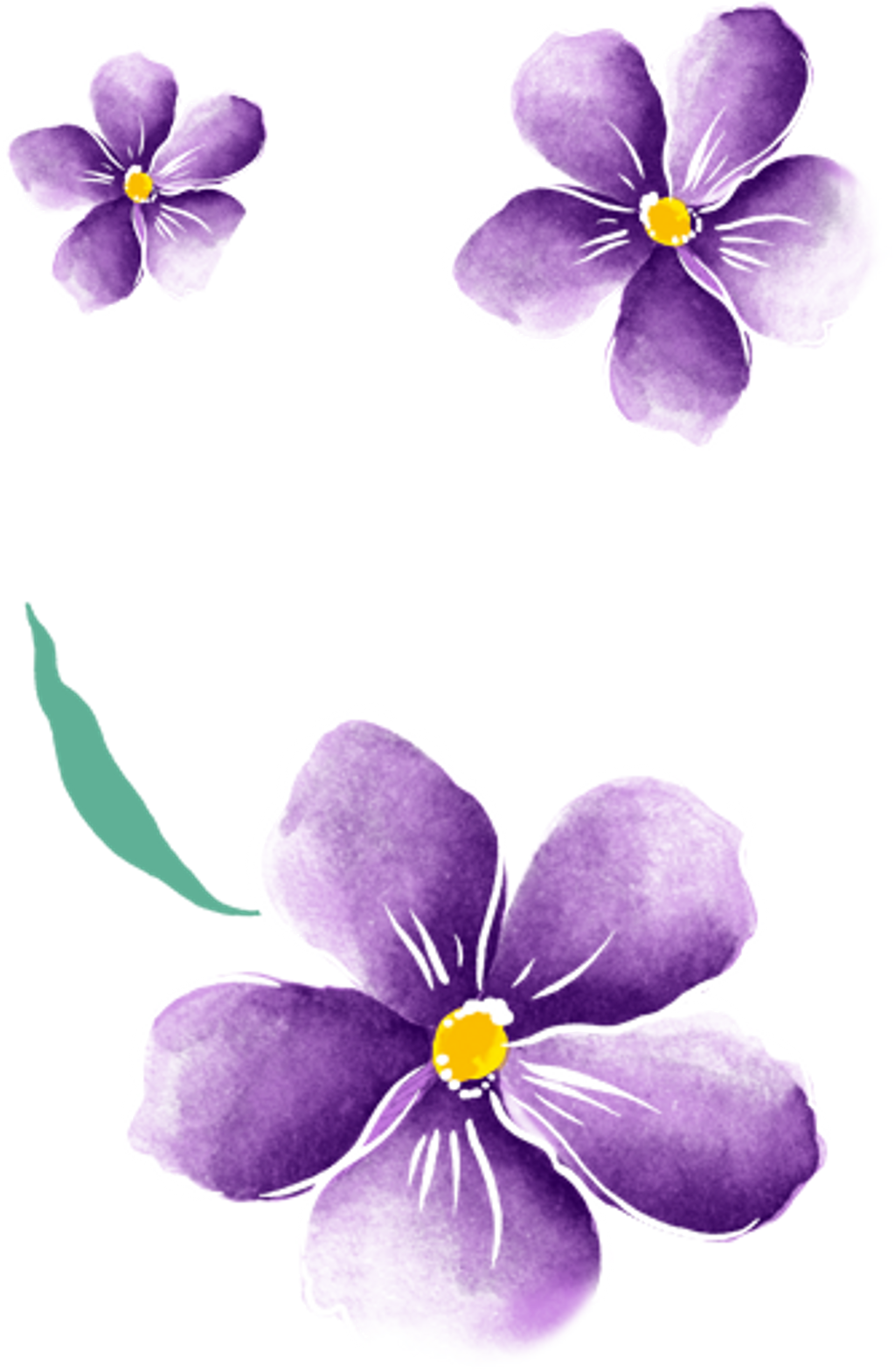 Flowers Floral Purpleflowers Watercolor Ftestickers - Flores Pintada A Mano (1024x1570)