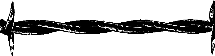 Digital Stamp Design - Illustration (696x365)