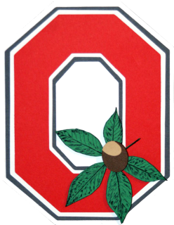 Ohio State Buckeyes Team Shop - Ohio State Buckeyes (427x320)