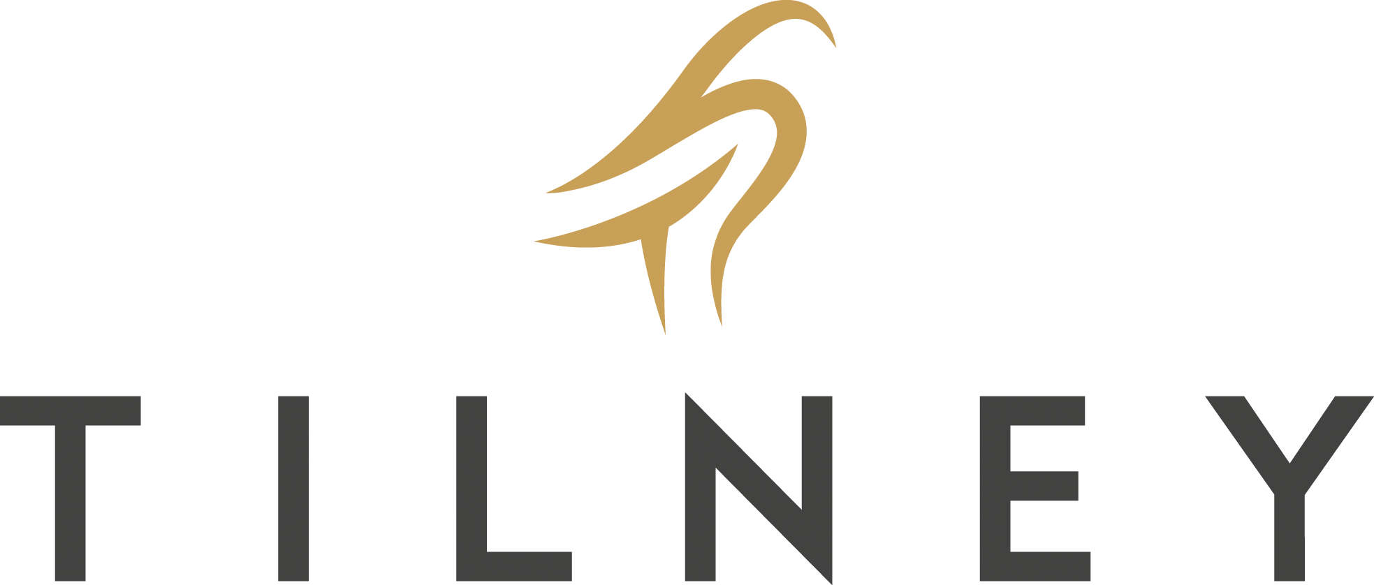 Visit Site - Tilney Logo Png (1967x838)