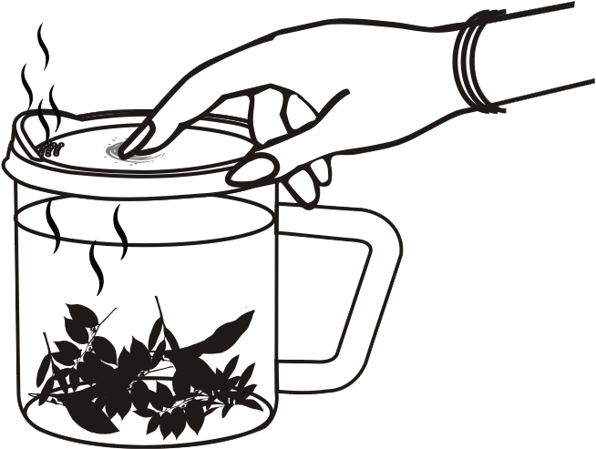 Step-5 - Line Art (743x779)