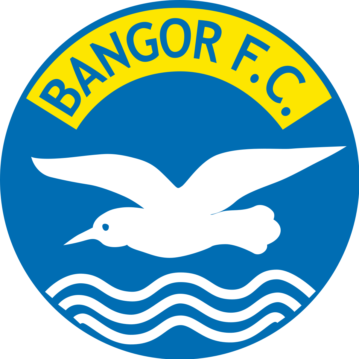 Nicky Davidson, Chairman Of Bangor Football Club, Will - Bangor Fc Northern Ireland (1200x1200)