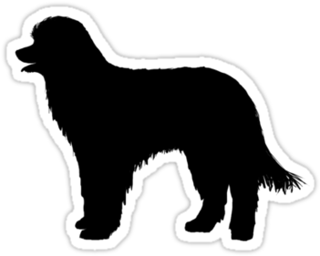 Pyrenean Shepherd Silhouette Waterproof Die-cut Sticker - Bernese Mountain Dog (375x360)