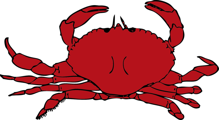 Crab, Red, Crustaceans, Seafood, Shell, Pincers - Rock Crab (731x400)