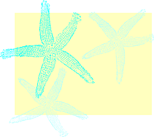 Fish Clip Art (600x535)