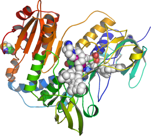Cytosolic - Cytosolic (483x436)