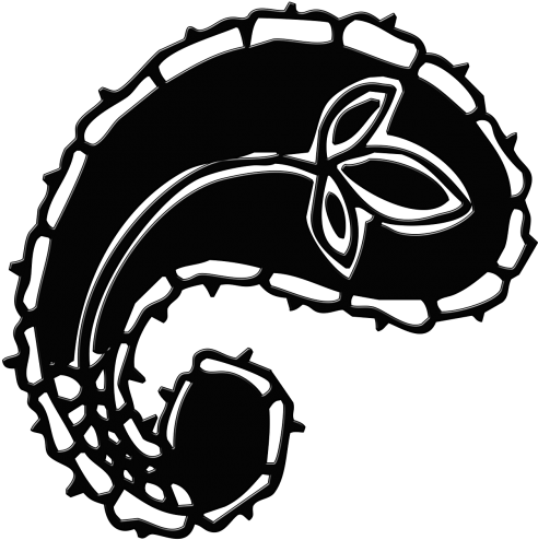 Paisley (500x500)