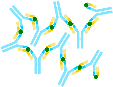 The Molecular Arms Race - Antigen Antibody Png (395x307)