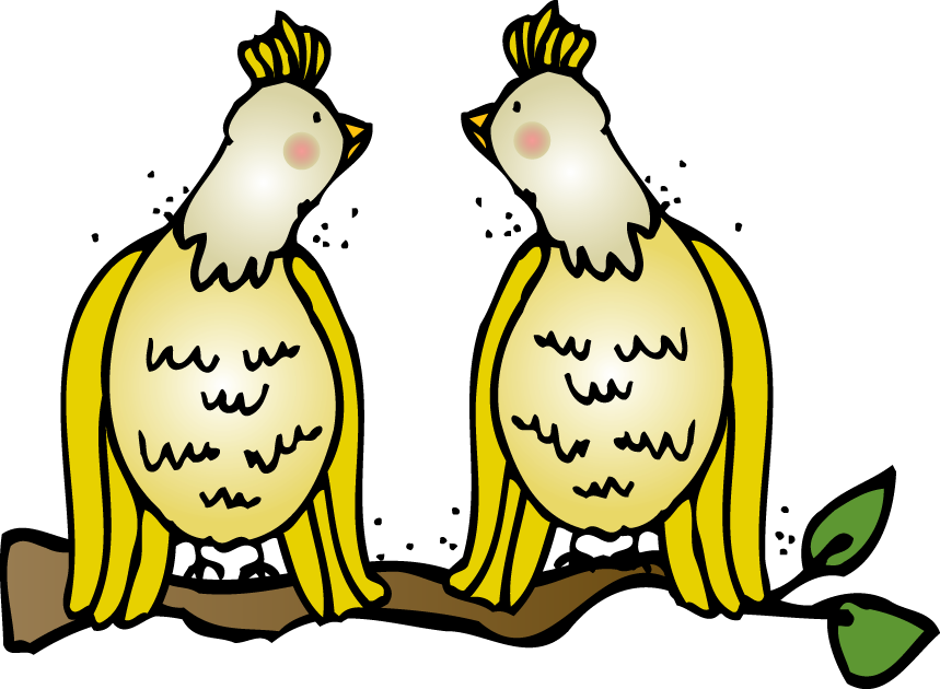 First Grade A La Carte - Cartoon (859x630)