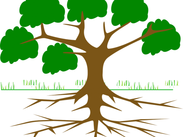 Roots Clipart Tall Tree Stump - Tree With Roots Cartoon (640x480)