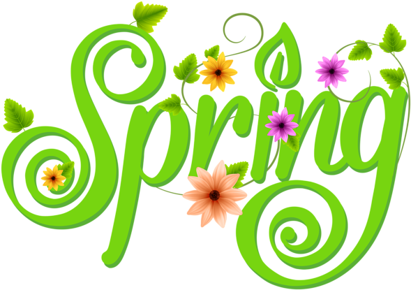 Spring Decoration Png Clip Art Image - Transparent Background Spring Clipart (600x422)