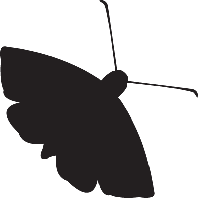 The Moth Comes To Omaha - Butterfly (392x391)