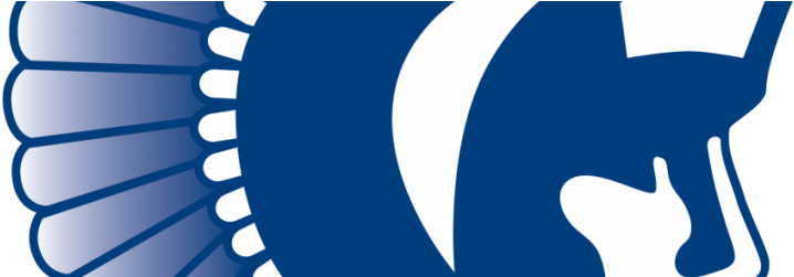 Boys All-star Basketball Summer Camps - St Peters Spartans Logo (765x250)