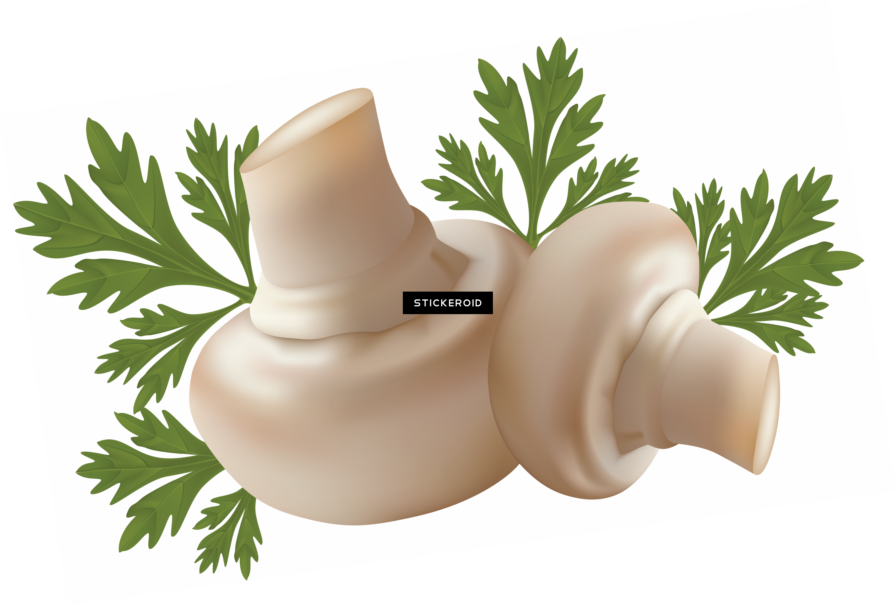 Mushrooms Mushroom - Free Vector Vegetables (3581x2421)