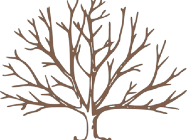 Draw A Tree With Snow (640x480)