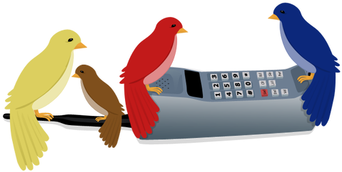 Caitlin Green 0 0 Four Calling Birds By Caitlin Green - 4 Birds A Calling (489x250)