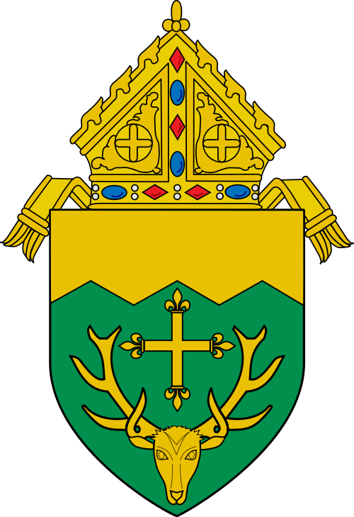 A Beautiful Tribute To The Diaconate From The Diocese - Diocese Of Rockford Logo (500x729)