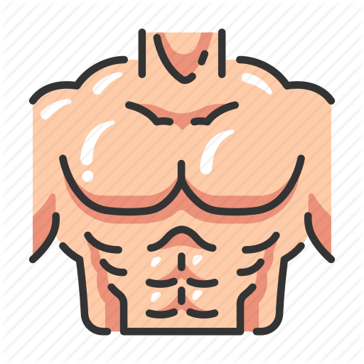 512 X 512 4 - Chest Body Part Clipart (512x512)