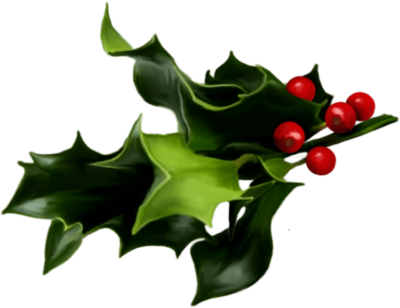 Free Png Mistletoe Png Art Png - Holly And Ivy Png (850x648)