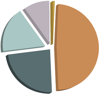 Income Chart - Circle (350x350)