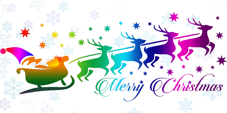 Merry Christmas, Feliz Navidad, Joyeux Noel, Happy - Merry Christmas Png Purple (960x480)