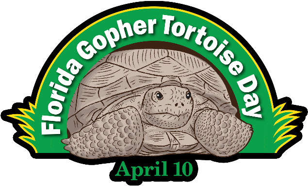 Gopher Tortoises May Be Slow, But Gopher Tortoise Day - Florida Gopher Tortoise Day (638x440)