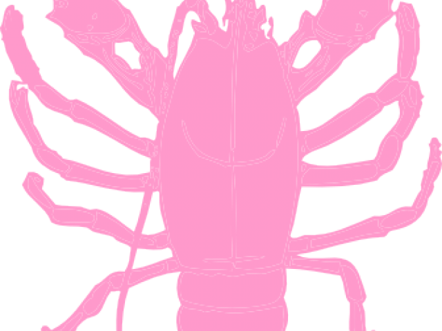 Lobster Clipart Pink - Clip Art Lobster Cartoon (640x480)