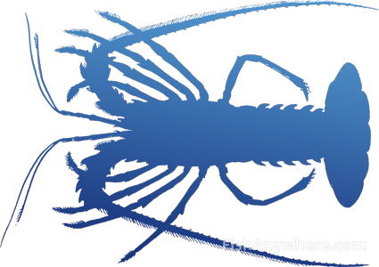 Spiny Lobster - Spiny Lobster (425x300)