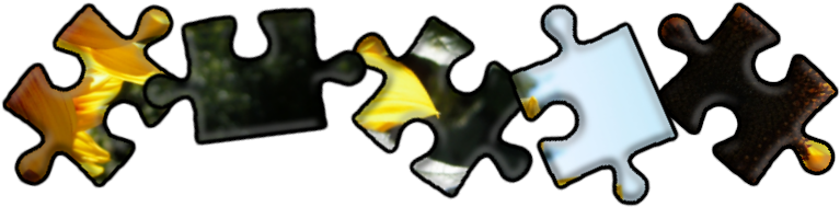 M2znludc - Ranged Weapon (800x209)