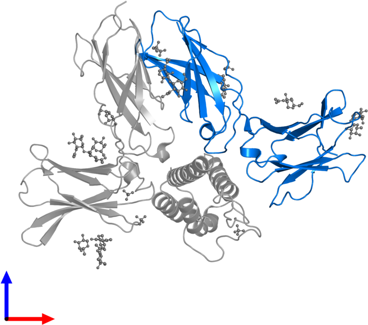 <div Class='caption-body'>pdb Entry 5m5e Contains 1 - Graphic Design (800x800)