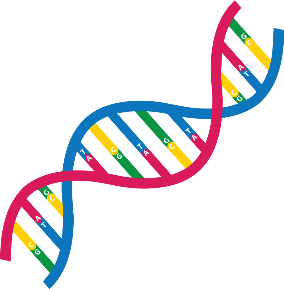 Do You Wanna Know More About Genome Assembly So, Take - Dna Research Icon (1000x1000)