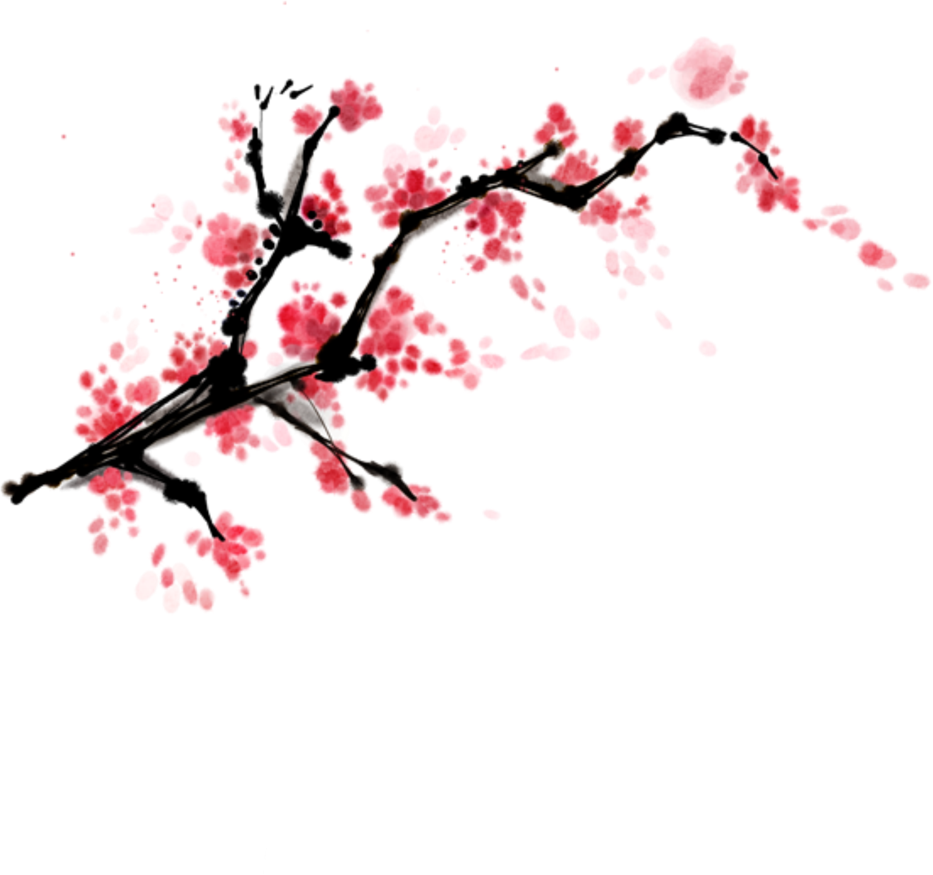 1867 X 1752 9 - Chinese Plum Blossom Png (1867x1752)