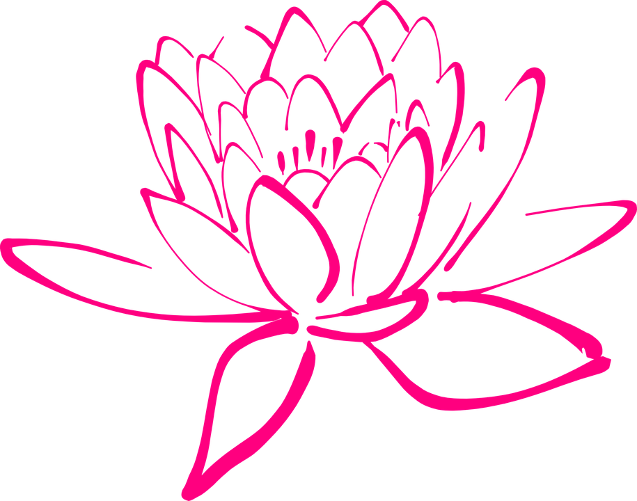 Fleur Lotus Png (915x720)