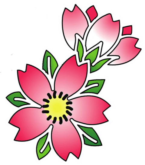 Free Png Download Cherry Blossom Flower Tattoo Outline - Cherry Blossom Tattoo Flash (480x547)