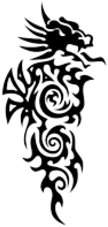 Free Png Download El Clipart Png Photo Png Images Transparent - Dragon Tribal Tattoo (480x1004)
