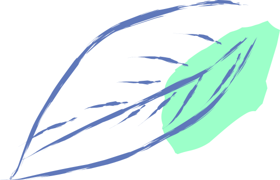 Shop Now - Shop Now (559x361)