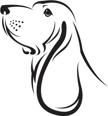 Malcolm Welshman, Author, Writer, Broadcaster, Cruise - Easy To Draw Basset Hound (445x459)