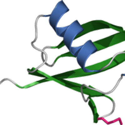 Ubiquigent - Ubiquitin (400x400)