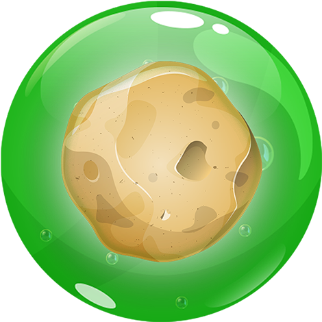 What Other Items Do Customers Buy After Viewing This - Circle (512x512)