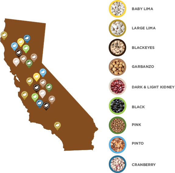 Cabeans Final Seasonaltimeline - California Map (575x566)