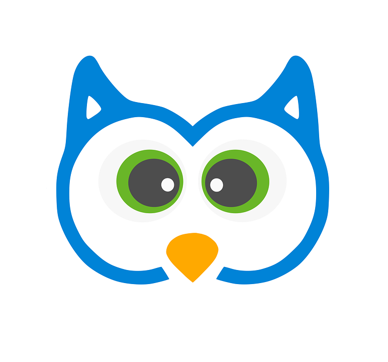 Owl Eyes Logo Wwwimgkidcom The Image Kid Has It - Baykuş Logosu (772x720)