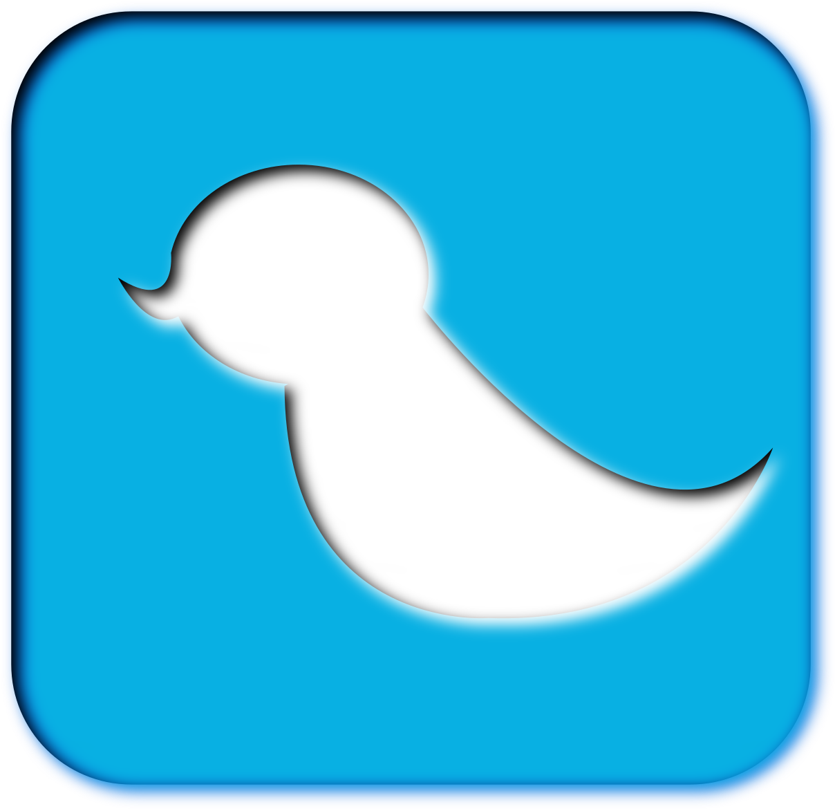 Bird Outline On A Blue Background Button - Bird Outline On A Blue Background Button (1377x1331)